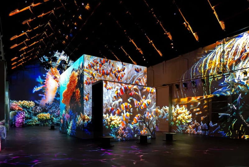 Amsterdam: Fabrique des Lumières The Sea Entry Ticket - Frequently Asked Questions