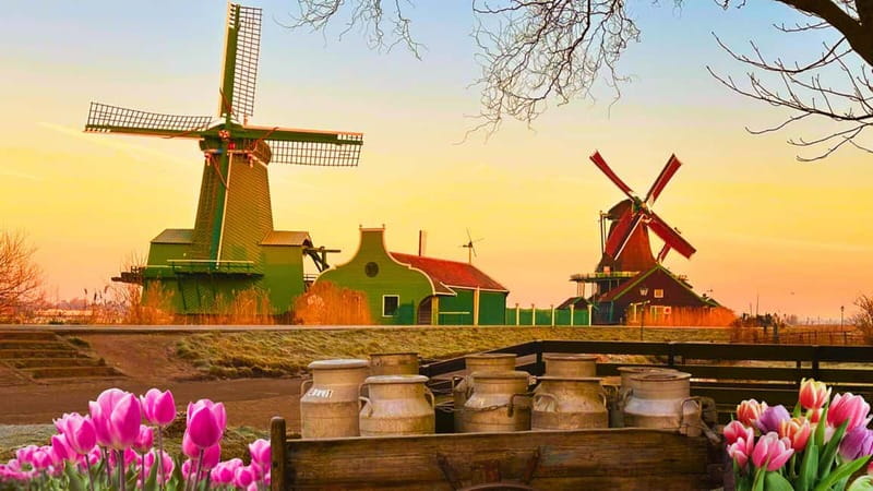 Amsterdam: Giethoorn & Zaanse Schans Small Group Day Trip - What Could Be Better