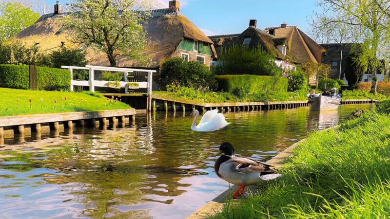 Amsterdam: Giethoorn & Zaanse Schans Small Group Day Trip - Final Thoughts