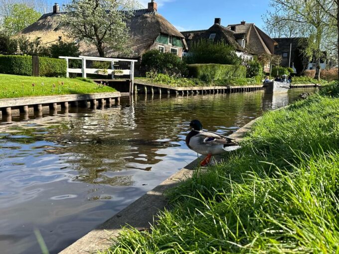 Amsterdam: Giethoorn, Zaanse Schans Tour With Small Group - Frequently Asked Questions