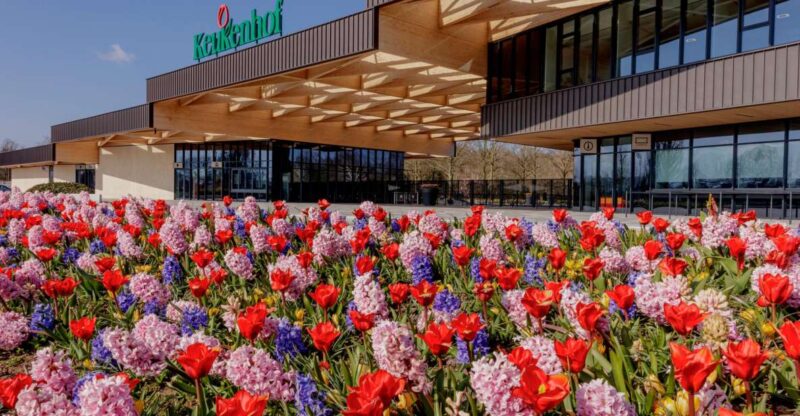 Amsterdam: Half-Day Flower Fields and Keukenhof Bicycle Tour - Itinerary Details