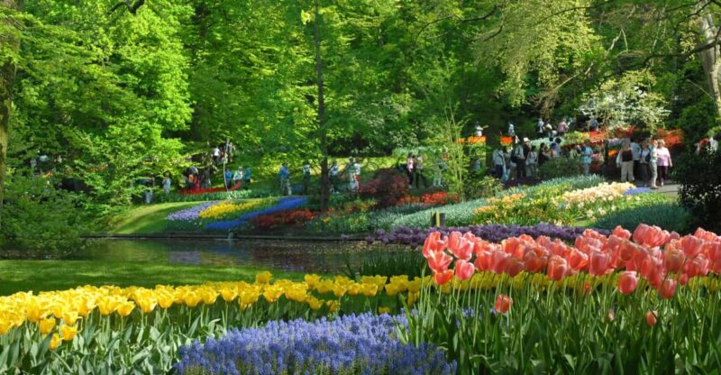 Amsterdam: Half-Day Keukenhof Guided Tour With Entrance - Good To Know