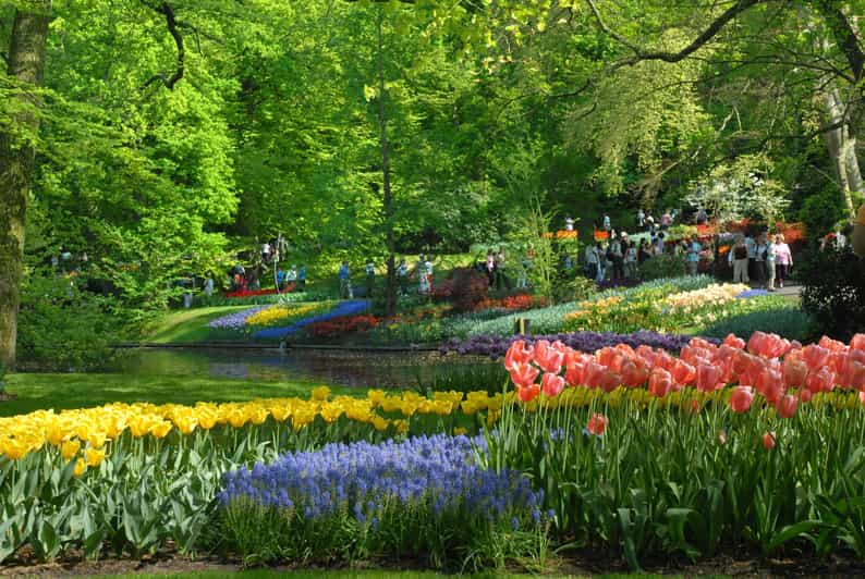 Amsterdam: Half-Day Keukenhof Guided Tour With Entrance - Pricing and Booking Details
