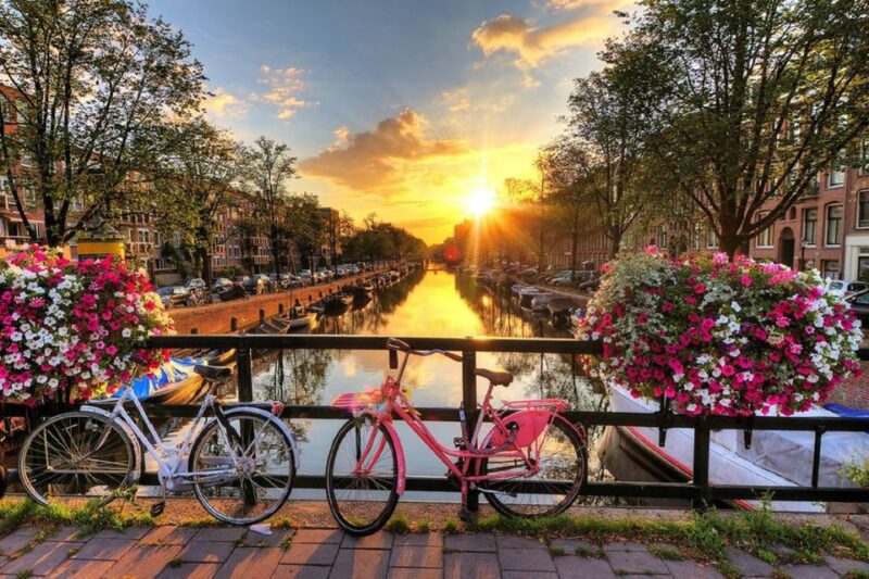 Amsterdam: Highlights Group Tour - Iconic Landmarks Visited