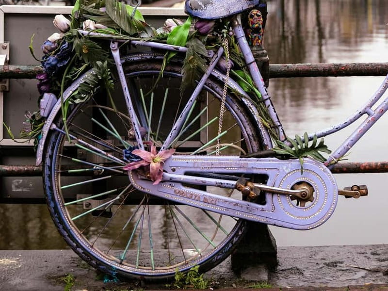 Amsterdam: Iconic Canals & Historic Sights Walking Tour - Key Points