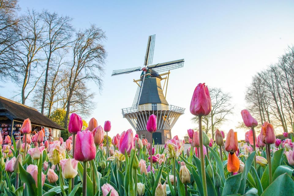 Amsterdam: Keukenhof and Zaanse Schans Live Guided Day Tour - The Value of the Tour