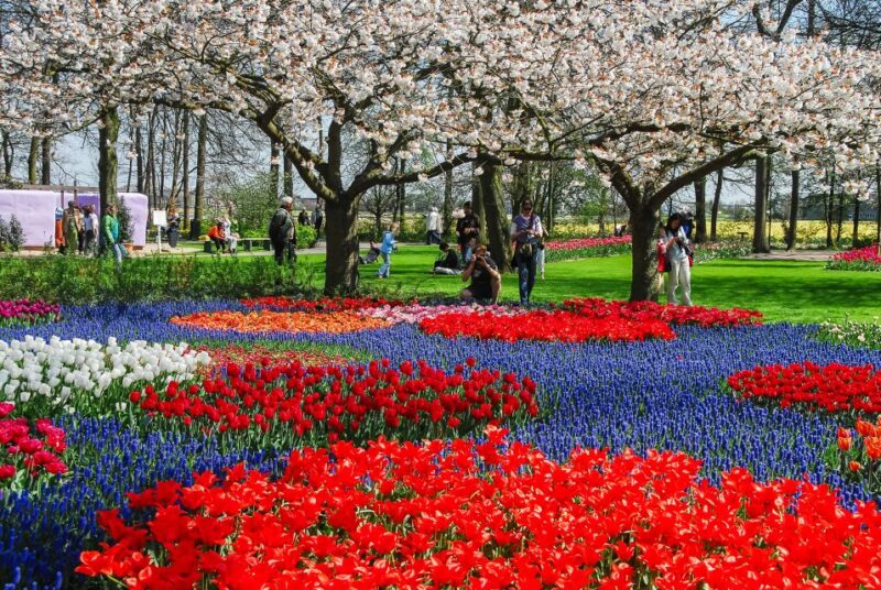 Amsterdam: Keukenhof Entry and Roundtrip Shuttle Transfer - Important Information