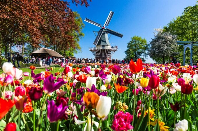 Amsterdam: Keukenhof Entry and Roundtrip Shuttle Transfer - Nearby Attractions