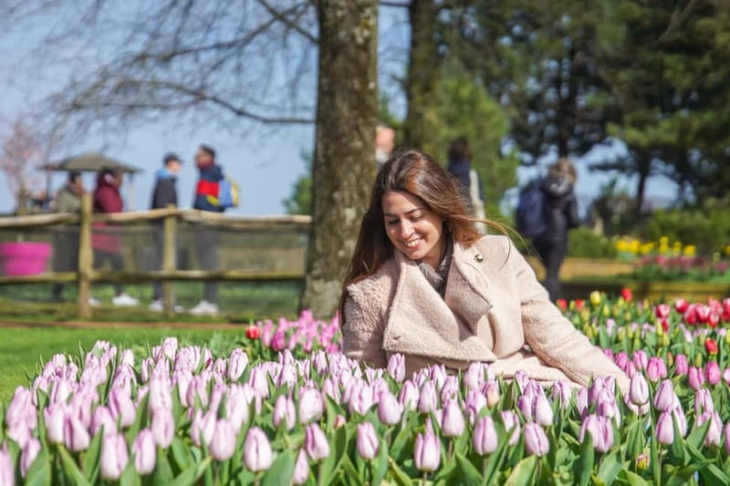 Amsterdam: Keukenhof Entry & Shuttlebus with Flexible Return - Is It Worth the Price?  