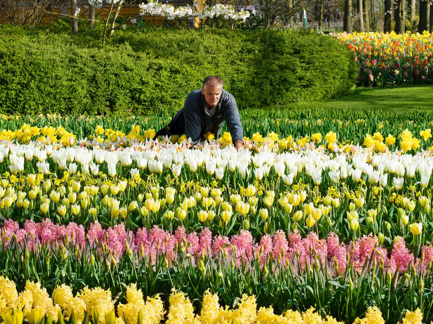 Amsterdam: Keukenhof Ticket and Roundtrip Shuttle Transfer - Key Points
