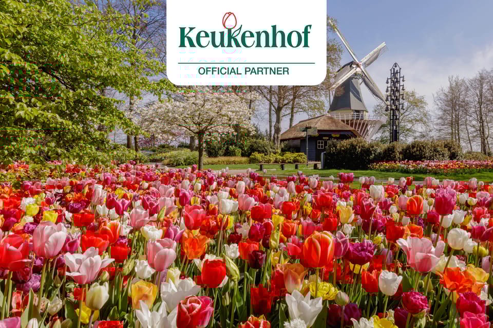 Amsterdam: Keukenhof Ticket and Roundtrip Shuttle Transfer - A Thorough Breakdown of the Experience