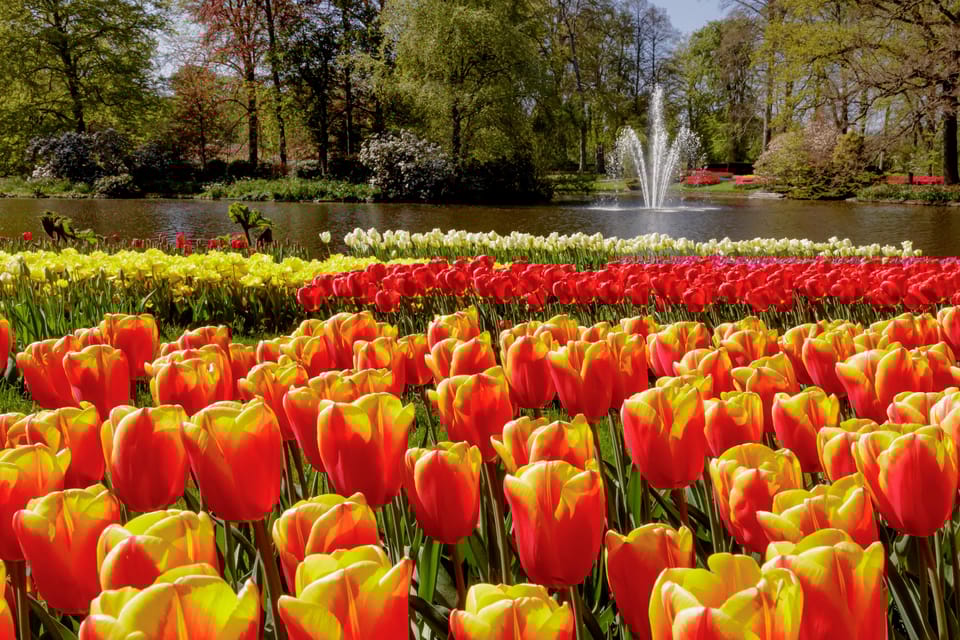 Amsterdam: Keukenhof Ticket and Roundtrip Shuttle Transfer - FAQ Section