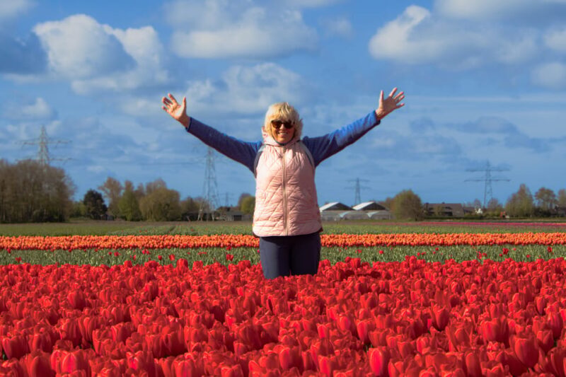 Amsterdam: Keukenhof, Tulip Farm Full-Day Tour with Cruise - Key Points