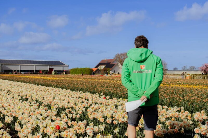Amsterdam: Keukenhof, Tulip Farm Full-Day Tour with Cruise - Visiting Keukenhof and the Tulip Farm: What to Expect