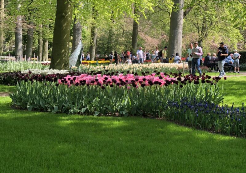 Amsterdam: Keukenhof Tulip Garden and Giethoorn Experience - Discovering Giethoorn Village