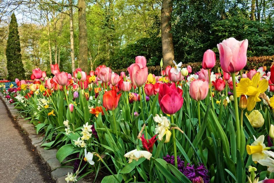 Amsterdam: Keukenhof & Zaanse Schans Windmills Private Tour - A Detailed Look at the Tour Experience