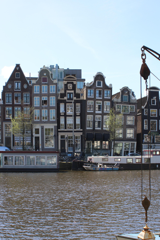 Amsterdam: Layover Flight Private Guided Tour (3h or 5h) - Tour Overview and Pricing