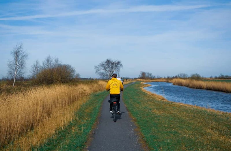 Amsterdam: Leisurely Windmill & Countryside Bike Ride - The Experience: What Travelers Say