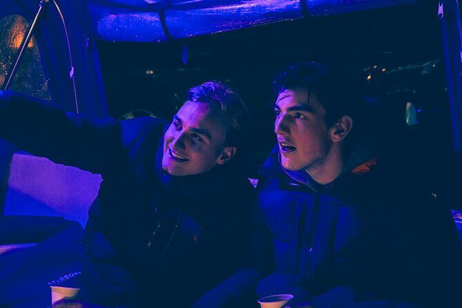 Amsterdam: Light Festival Cruise with Unlimited Drinks Option - Who Will Love This Tour?