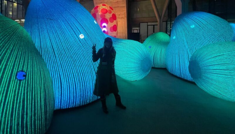 Amsterdam Light Festival Guided Bike Tour - The Experience in Detail