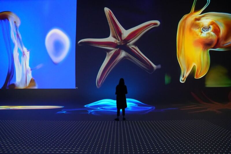 Amsterdam: Nxt Museum - The Home of Art & Tech Entry Ticket - Featured Exhibitions