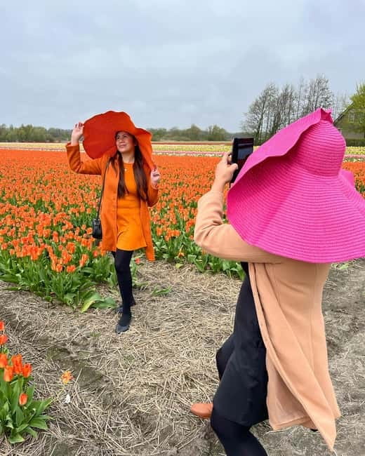 Amsterdam: Private Keukenhof and Free Tulip Tour - The Itinerary: What to Expect and Why It Matters
