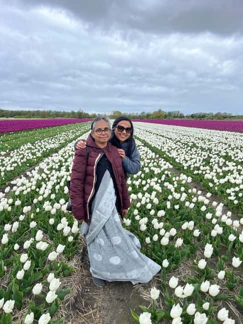 Amsterdam: Private Keukenhof and Free Tulip Tour - Who Will Love This Tour?