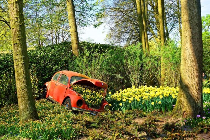 Amsterdam: Private Sightseeing Tour to Keukenhof - Exploring Keukenhof Gardens