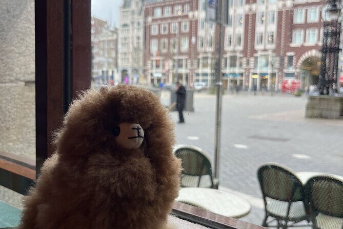 Amsterdam Private Walking & Tasting Tour - Key Points