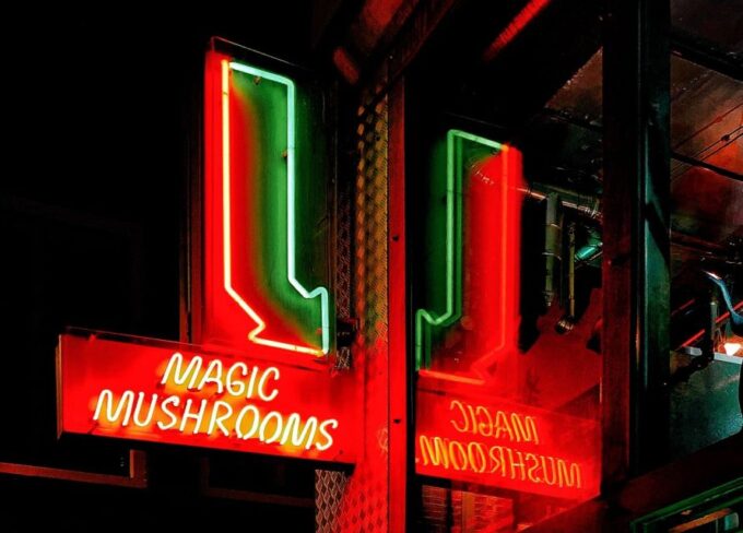Amsterdam: Red Light District Tour - Highlights of the Tour