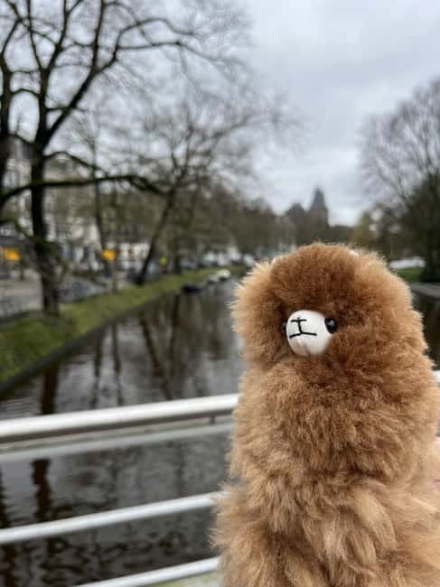 Amsterdam: Rijksmuseum Private Guided Tour & Entry Tickets - Who Will Love This Tour