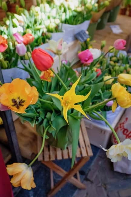 Amsterdam Sightseeing Hidden Gems Tastings Tour + PDF Guide - Practical Details
