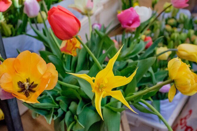 Amsterdam Sightseeing Tour + Hidden Gems + Tastings + PDF guide - Who Is This Tour Best For?