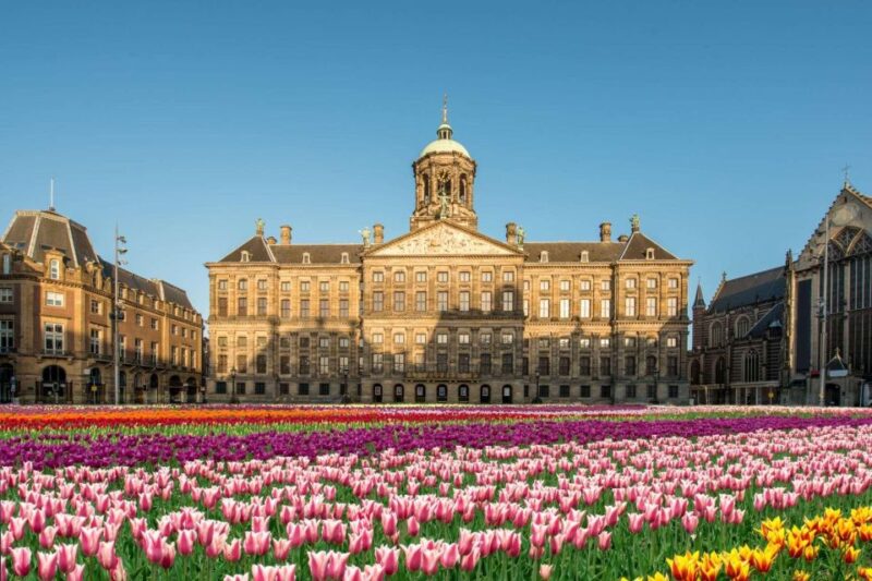 Amsterdam: Skip-the-line Royal Palace Private Guided Tour - Features and Inclusions