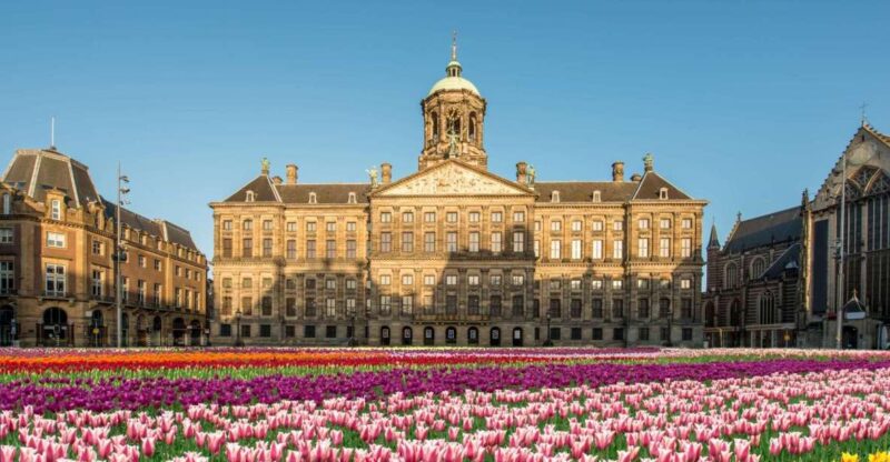 Amsterdam: Skip-the-line Royal Palace Private Guided Tour - Transportation Options