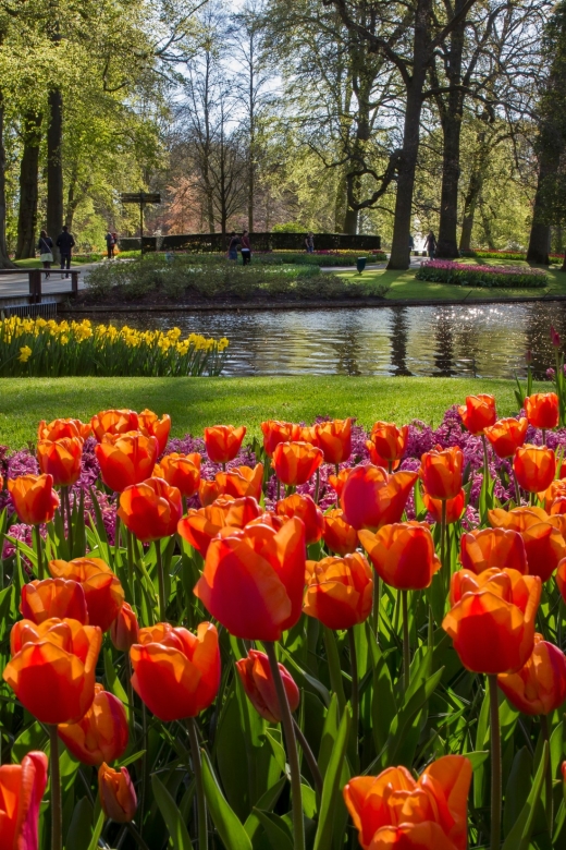 Amsterdam: Tour to Keukenhof Gardens with Windmill Cruise - Introduction