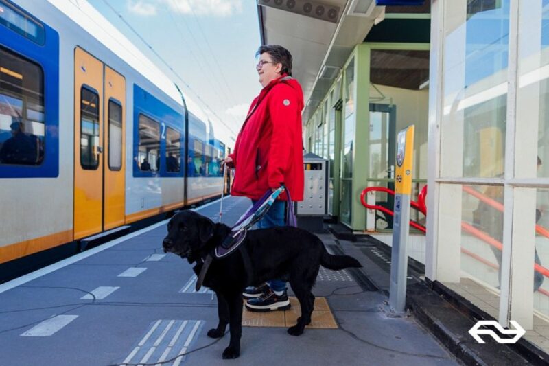 Amsterdam: Train Transfer Amsterdam From/To Leiden - Travel Time and Frequency