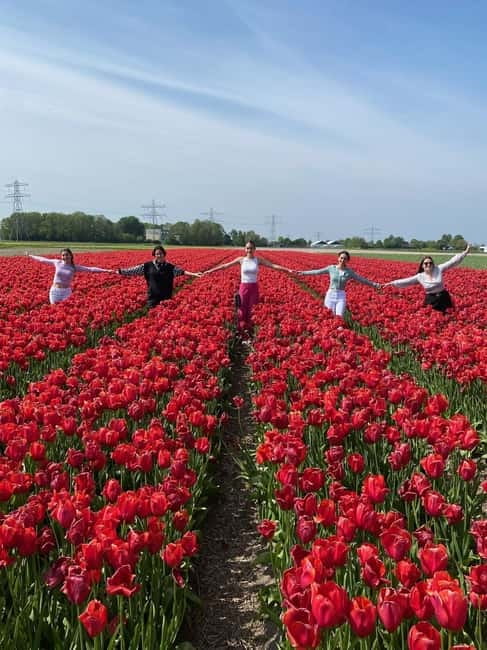 Amsterdam: Tulip Farm Visit, Keukenhof, and Windmill Cruise - Who Will Love This Tour?