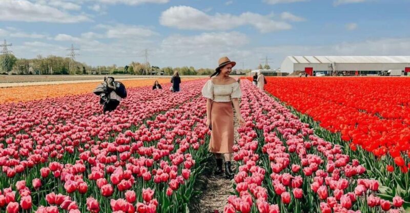 Amsterdam: Tulip Farm Visit, Keukenhof, and Windmill Cruise - FAQ