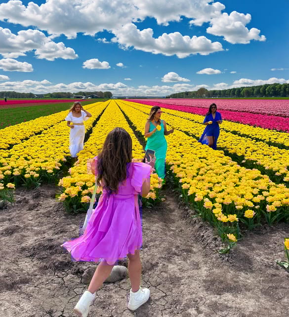 Amsterdam: Tulip Fields Day Tour with Lunch & Windmill - Why This Tour Is Worth Considering