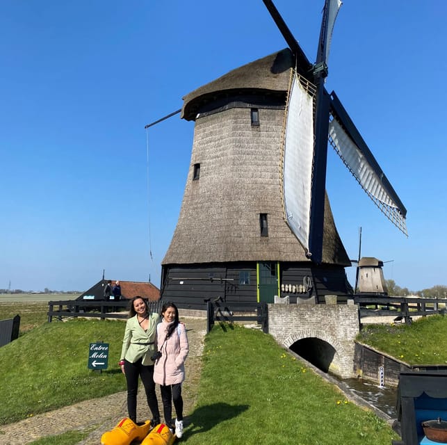 Amsterdam: Tulip Fields Day Tour with Lunch & Windmill - The Sum Up