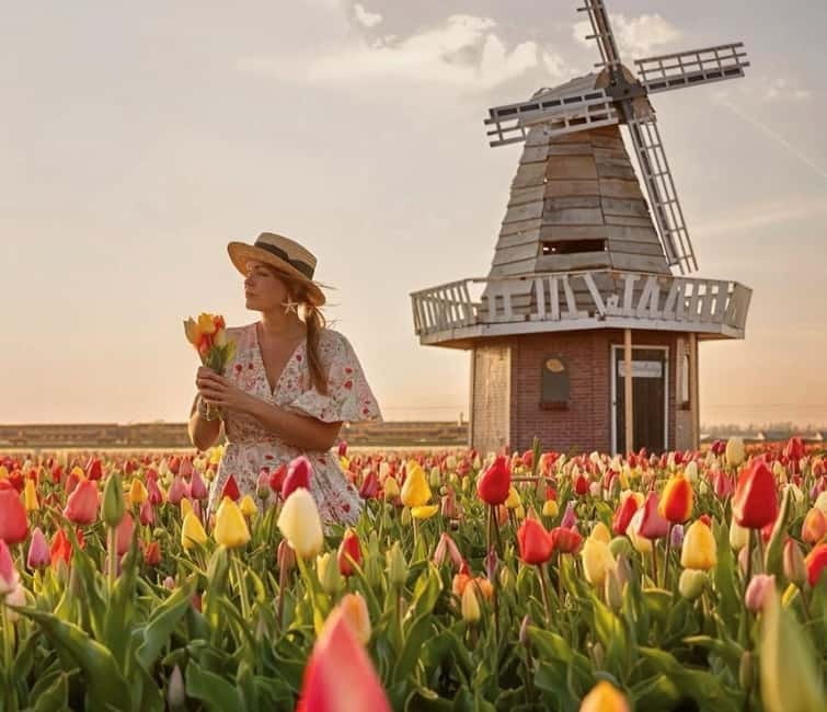 Amsterdam : Tulip Wonderland Tour - An In-Depth Look at the Tulip Wonderland Tour