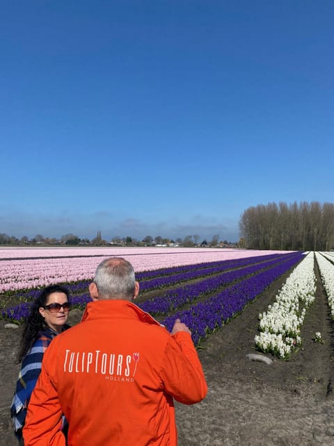 Amsterdam : Tulip Wonderland Tour - Why Consider the Tulip Wonderland Tour?
