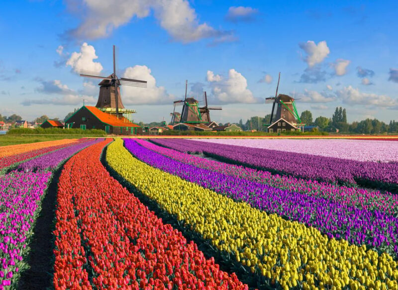 Amsterdam: Zaanse Schans, The Hague & Rotterdam Tour - Key Points
