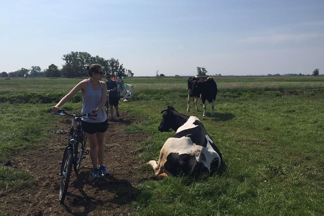Amsterdams Countryside Half-Day Bike Tour in Small Group - Small-Group Experience