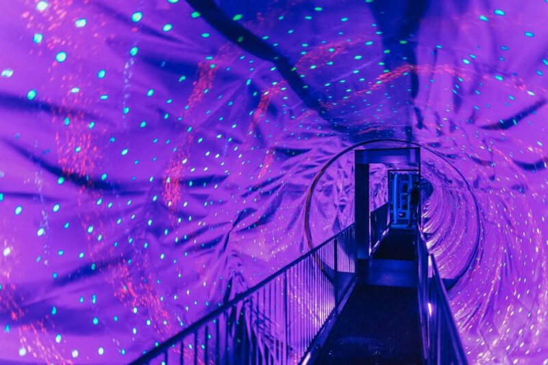 Amsterdams Weirdest Museum: Believe It or Not! - Ticket Pricing and Options