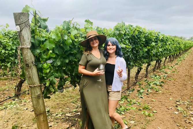 Amy & Rebas Day Drinking Wine Tours, Where Well Drive You to Drink - Amenities You Can Expect