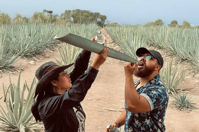 An adventure for the senses: Mezcal, fields and crafts. - First Stop: Teotitlán del Valle