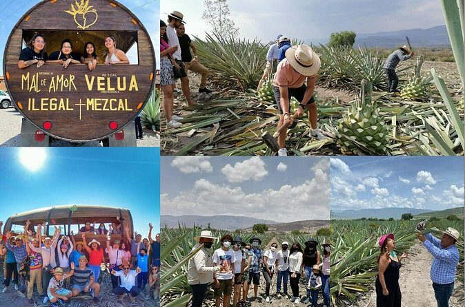 An adventure for the senses: Mezcal, fields and crafts. - FAQ