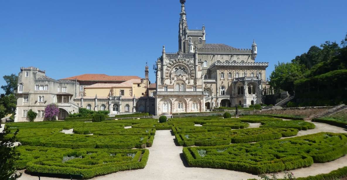 An Adventure Through the Forest and Palace of Bussaco - Coim - Highlights of the Tour